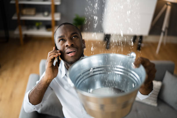 Best Water damage restoration near me  in Murphy, NC