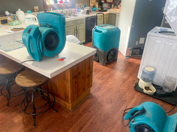 Best 24/7 water damage repair  in Murphy, NC