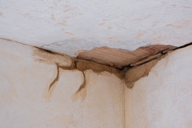 Best Mold removal after water damage  in Murphy, NC