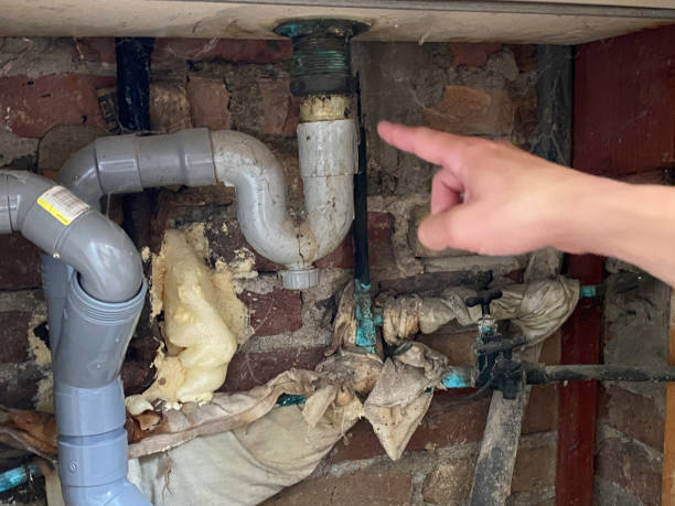 Best Sewage cleanup and water damage restoration  in Murphy, NC