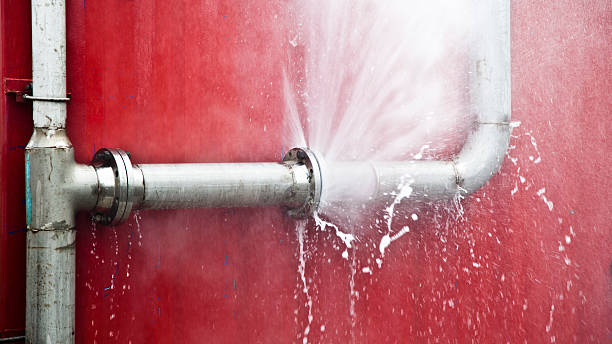 Best Carpet water damage restoration  in Murphy, NC